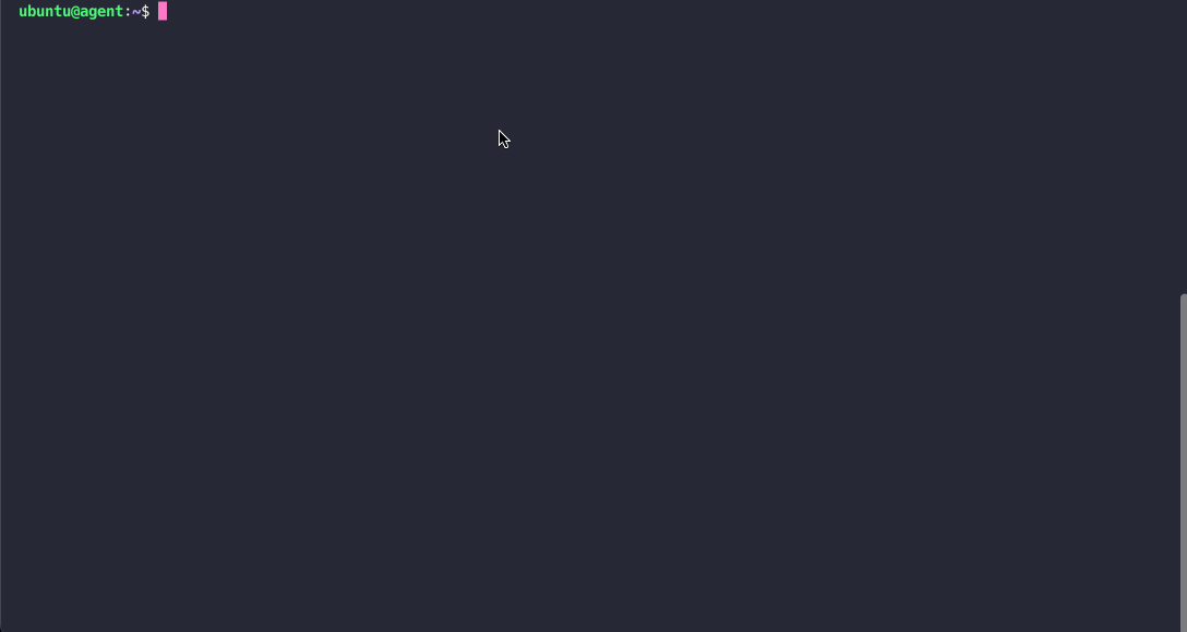 agent install success