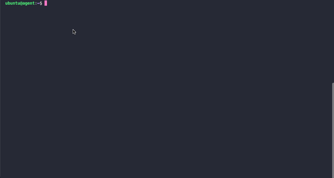 Starting Nstbrowser-agent